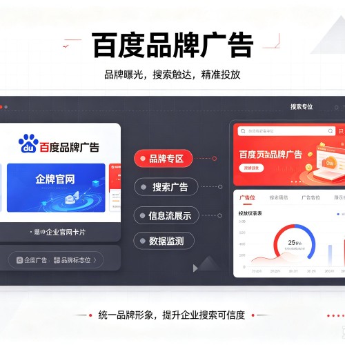 天心百度品牌广告